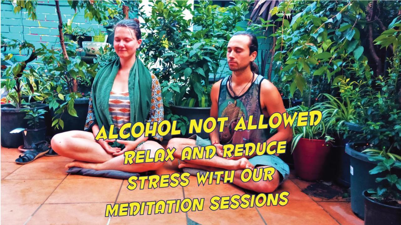 Zen Harmony House Sydney Hotel Bagian luar foto