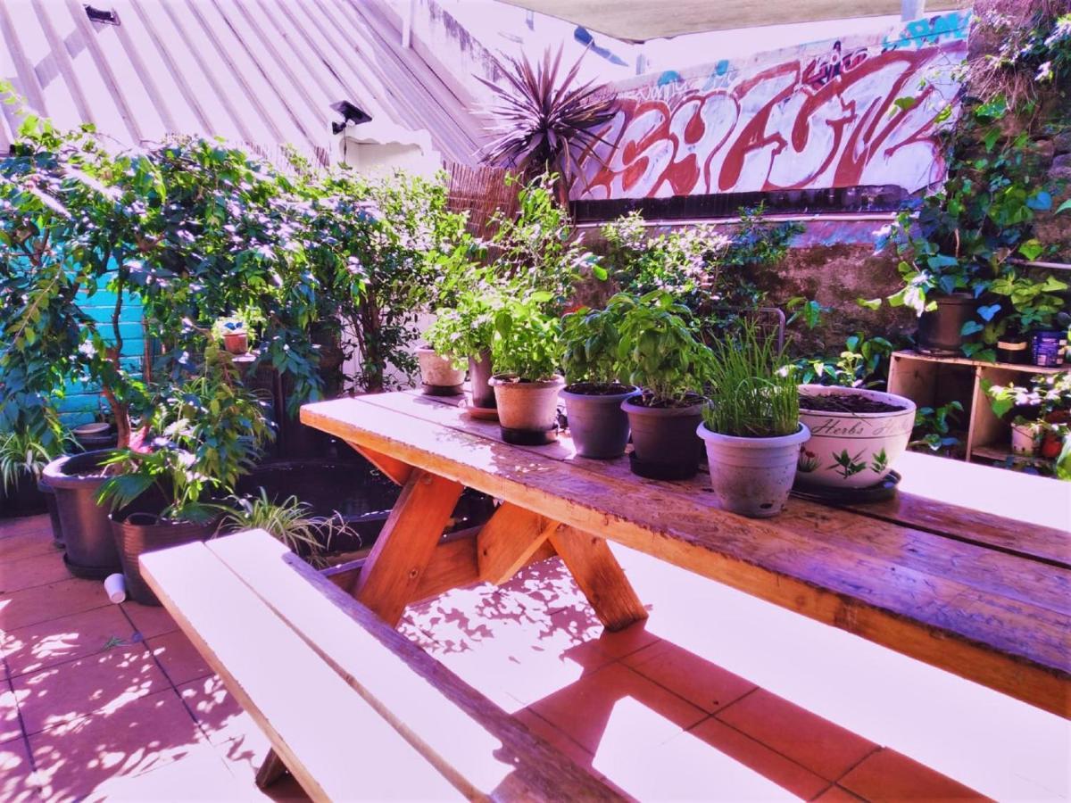Zen Harmony House Sydney Hotel Bagian luar foto