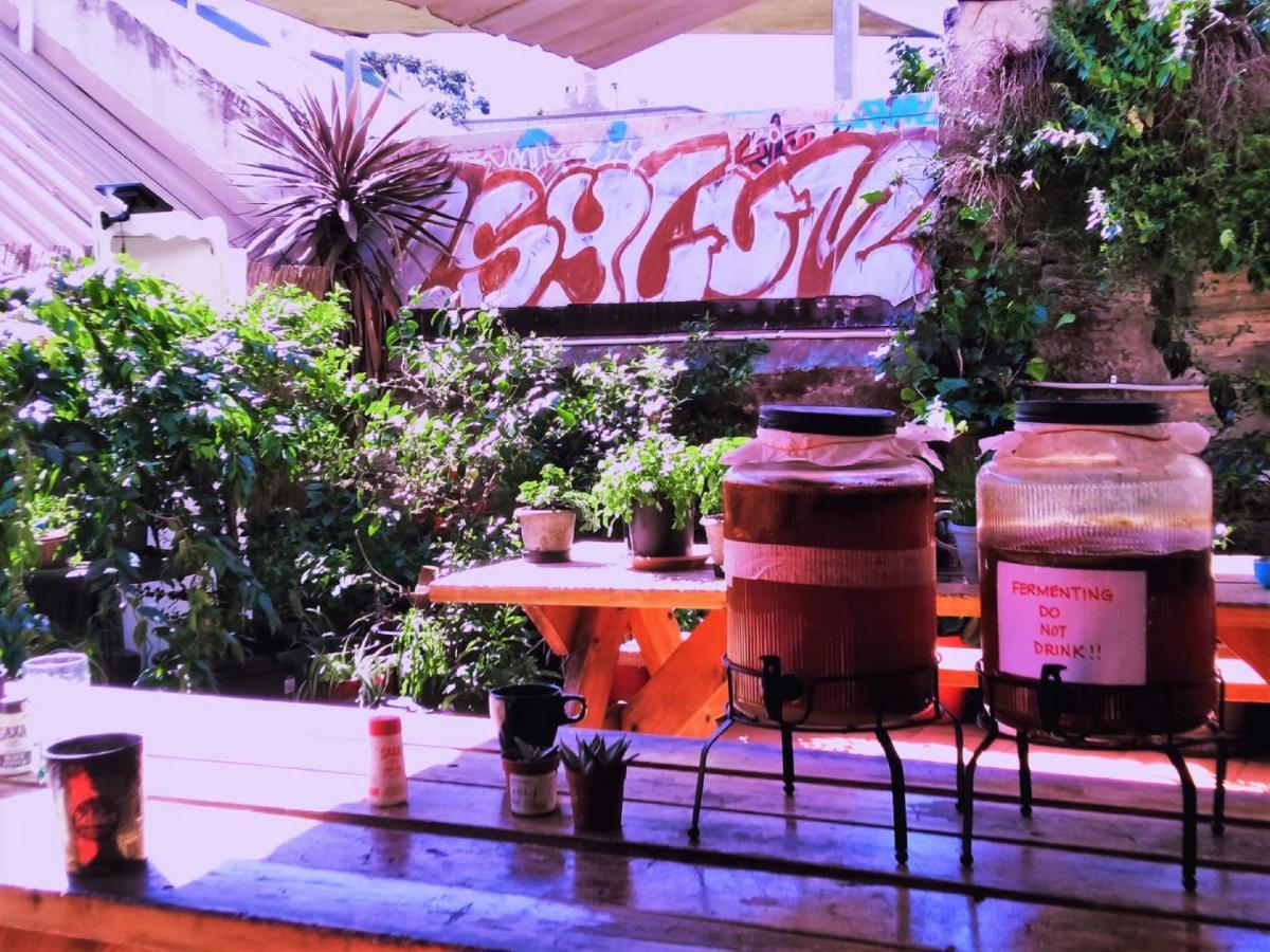 Zen Harmony House Sydney Hotel Bagian luar foto