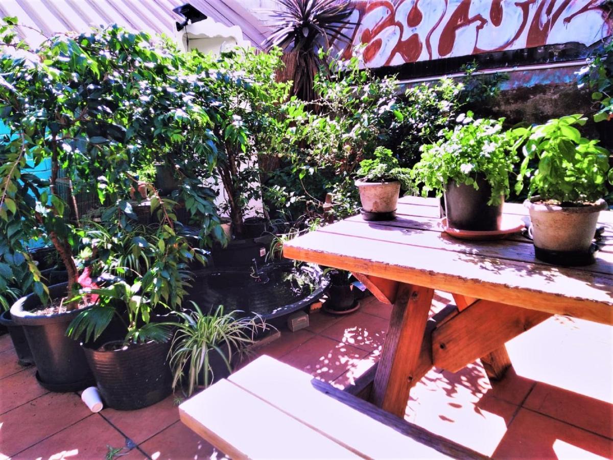 Zen Harmony House Sydney Hotel Bagian luar foto